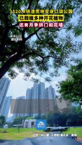 荆州口袋公园--莳光园即将上线！ 期待一下来年春天，鲜花盛开的美景~