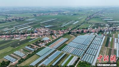 中新网关注丨“江南吐鲁番”湖北公安：小葡萄串起大产业