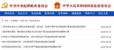 中纪委通报：104人被查、42人被处理，涉及12名省部级干部