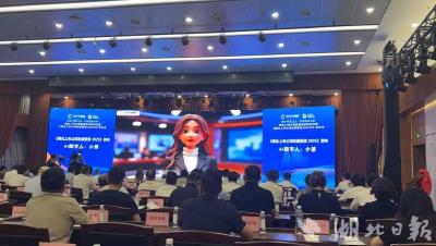 2024年湖北IPO募资额中部省份居首