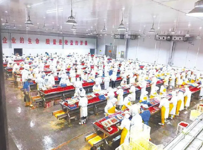 石首：一家企业带活15万亩虾稻田 