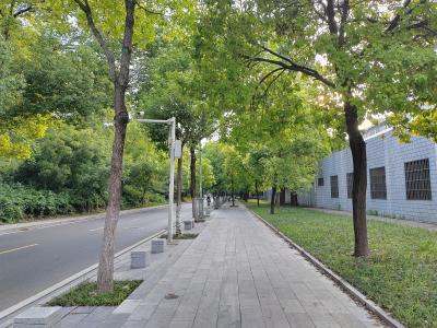 荆州古城新南门内环人行道“蝶变”：窄道变通途 黄土披绿装