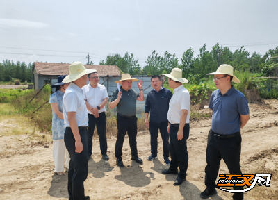 荆州市自然资源和城乡建设局调研石首矿山生态修复推进工作