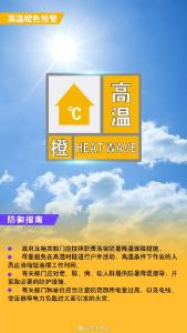 最高44.4℃！河南大量蚊子被热死