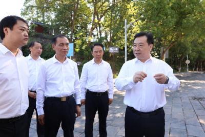 汪元程调研中心城区房地产发展新模式和历史文化街区保护利用工作