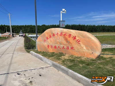 【洪湖流域综合治理】鱼塘变湿地 “灰水”成清流   
