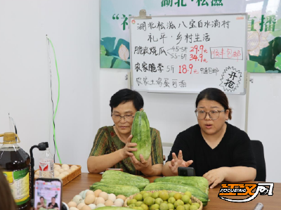 “三下乡”社会实践 | 湖北二师学子探访松滋：“银发”与振兴的青春对话