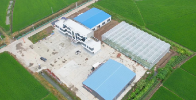石首市久合垸乡：产业链项目加速建设 三产融合蓄势待发