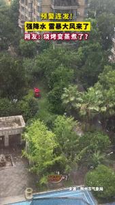 预警连发！强降水 雷暴大风来了