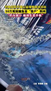 50万尾鲢鳙鱼苗“落户”荆州！2025沃鼎燎原计划钓鱼挑战赛冠军开展公益增殖放流活动