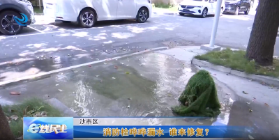 e线民生 | 消防栓哗哗漏水 谁来修复？