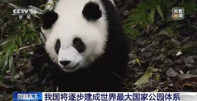 我国将逐步建成世界最大国家公园体系