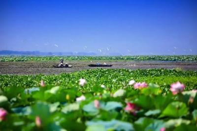 【媒眼看荆州】8月16日—8月21日 央省媒体聚焦荆州文旅、三农、经济......