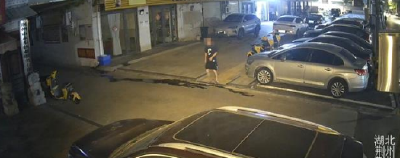 车门未锁引贼惦记  荆州警方连破两起“拉车门”盗窃案