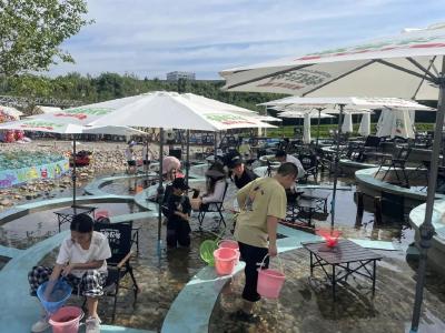 闲置空地变“增收宝地”！城市“边角料”华丽变身