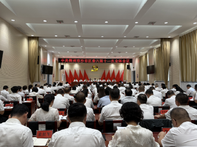 扛起使命担当 加快冲刺千亿区 建功先行区 中共荆州市沙市区委六届十一次全体会议举行