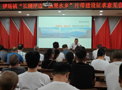 沙市区锣场镇召开“长湖岸边·渔果水乡”片带建设征求意见会