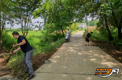 松滋市王家桥镇：织密蚊媒监测网 筑牢健康防火墙