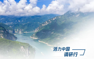 【活力中国调研行】湖北扛牢挑大梁责任