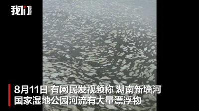 湖南一国家湿地公园水面惊现大量泡沫漂浮物！