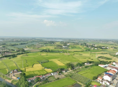 湖北日报头版头条聚焦：李向群牺牲地涌现5个全国文明村镇38个“百万村”