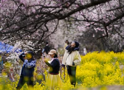 格桑花开映山河 团结奋进新征程——以习近平同志为核心的党中央情系雪域儿女擘画西藏发展纪实