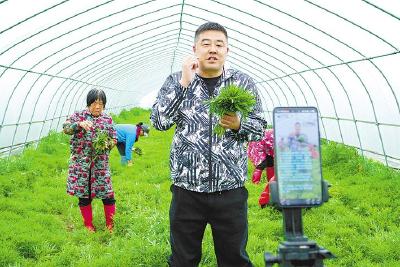 荆州洪湖：“网红书记”把村庄装进全国“菜篮子”