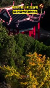 荆州市养犬新规落地 禁止遛犬区域公布