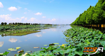 从“浊水围城”到湿地“画卷”——探寻洪湖市螺山镇的“生态逆袭”