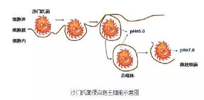 官方通报：一幼儿园，发病130例！