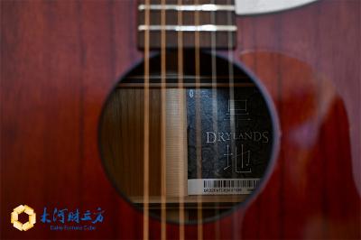 湖北松滋、李宗盛、兰考泡桐有啥关系？