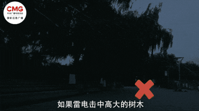 雷劈车，人没事！雨天出行怎样“避雷”？