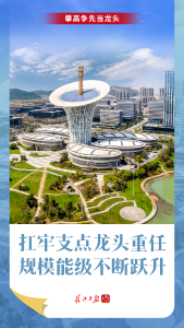 攀高争先当龙头