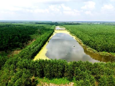 石首中洲村：三资清理“清”出增收路 100亩水面变“聚宝盆”