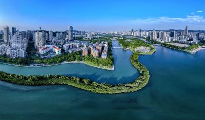 这个理念，何以改变中国引领时代