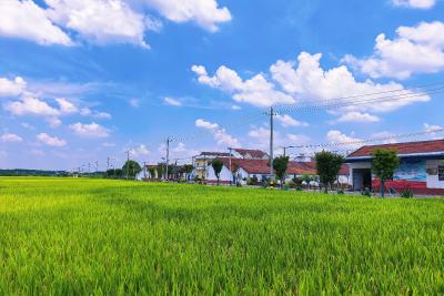 荆州：“亲情网格”聚民心 岳场村“小田并大田”绘就良田美景