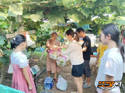 石首：夫妻3亩地年入12万  打好“生态牌”让果子不愁卖