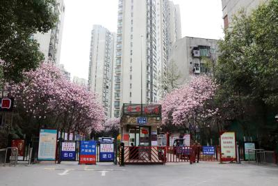 荆州沙市： “六微服务”点亮家门口的“微幸福”
