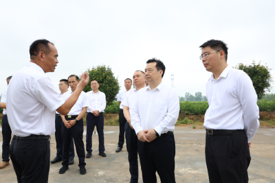 汪元程到监利市调研畜禽“水改旱、散改集”绿色养殖工作
