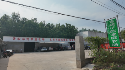 石首：夏收"双抢"忙 烘干厂助力颗粒归仓