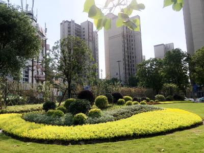 沙市区开展六大提升行动打造绿色生态新名片