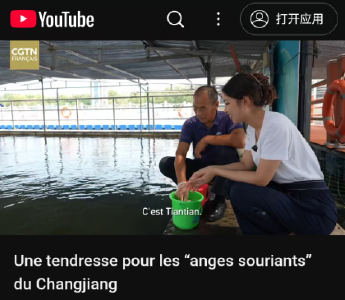 央视CGTN再次聚焦石首！石首的TA火到国外啦！
