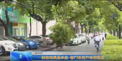 e线民生 | 树枝断裂悬半空  部门快速行动清隐患