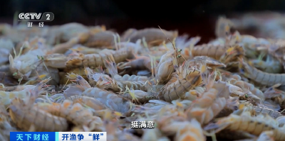 大降价！低至十元一斤！你爱吃的它，便宜了→