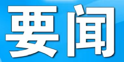 干部素质提升年丨如何精准把握政策、全力谋划项目？这场培训会干货满满