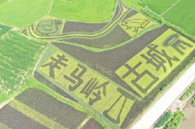 石首走马岭遗址成功获批国家考古遗址公园立项