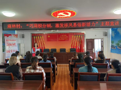 荆州经开区麻林村：“小卡片”兑出“大变化”