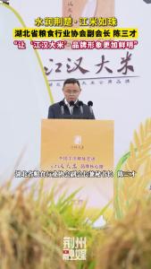 水润荆楚·江米如珠，湖北省粮食行业协会副会长 陈三才，“让‘江汉大米’品牌形象更加鲜明”