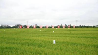 全国各大主流媒体即将聚焦荆州！ 