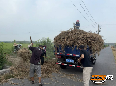 石首市高陵镇构建秸秆利用闭环链 “变废为宝”实现环保增收双赢